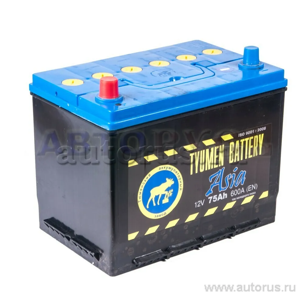 Аккумулятор TYUMEN BATTERY ASIA 75 Ач прямая L+ 266x173x223 EN560 А