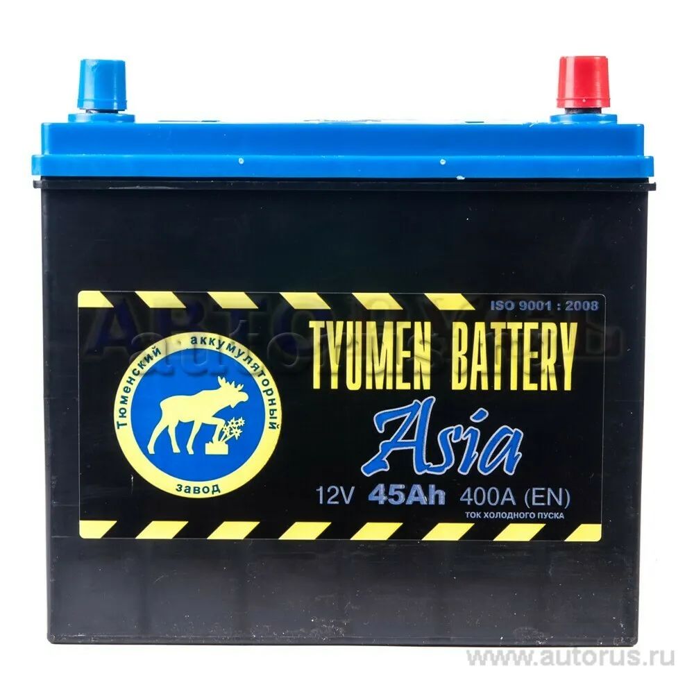 Аккумулятор TYUMEN BATTERY ASIA 45 Ач обратная R+ 236x128x223 EN360 А