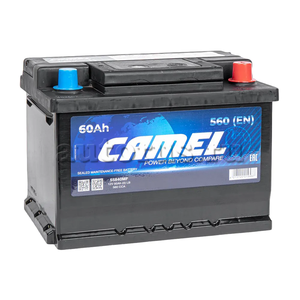 Аккумулятор CAMEL 60 Ач Обратная R+ 242x175x175 EN560 A