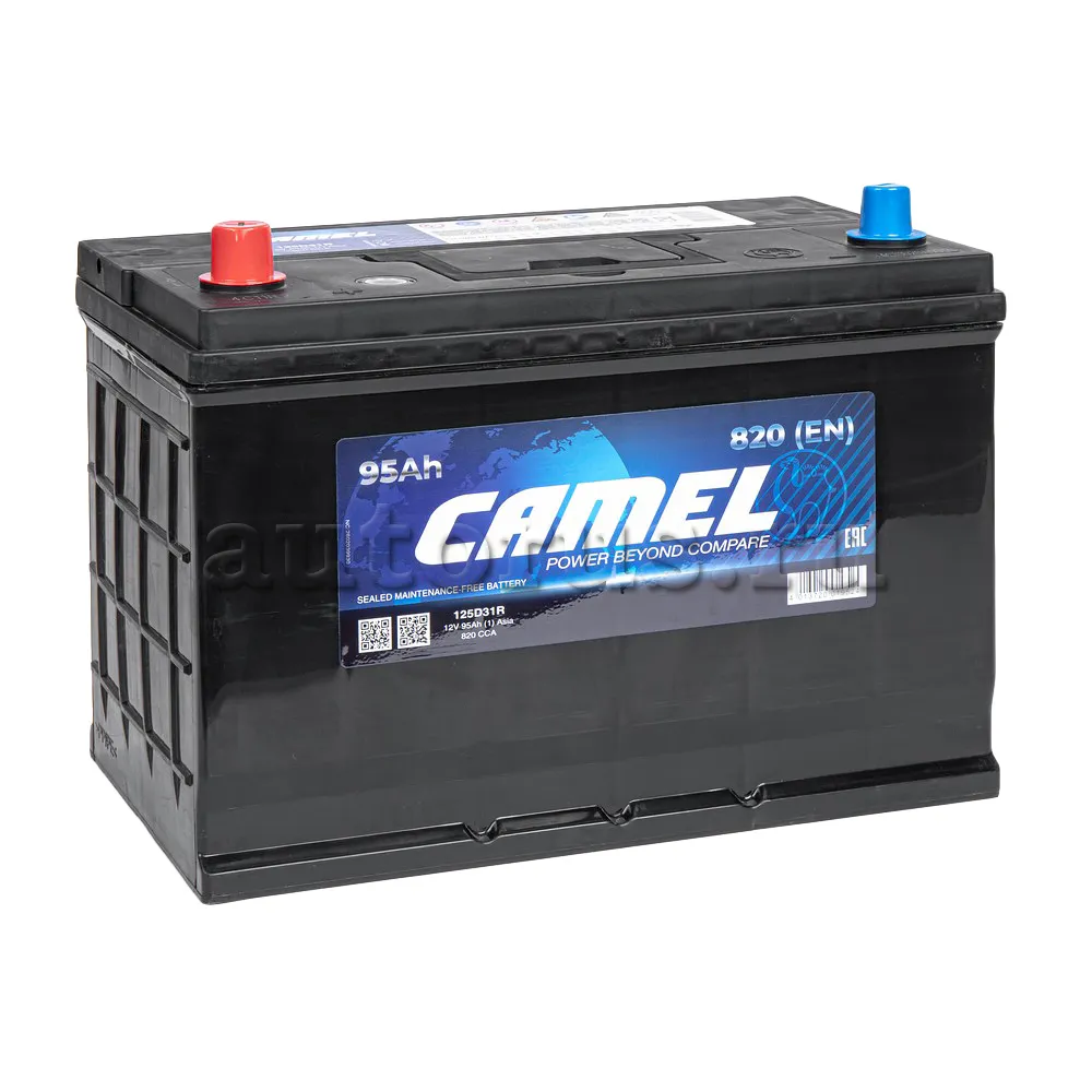 Аккумулятор CAMEL ASIA 95 Ач Прямая L+ 305x171x226 EN820 A