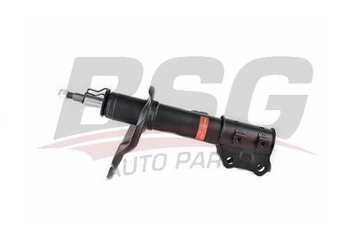BSG40300062 BSG Амортизатор