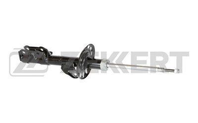 SG4982 ZEKKERT Амортизатор