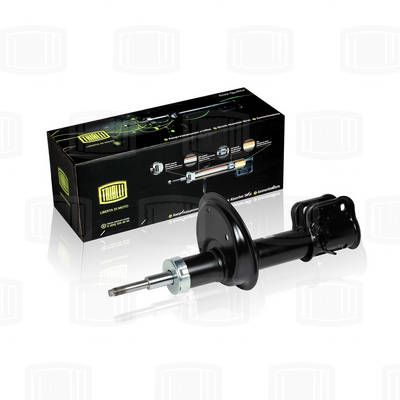 AH01157 TRIALLI Амортизатор