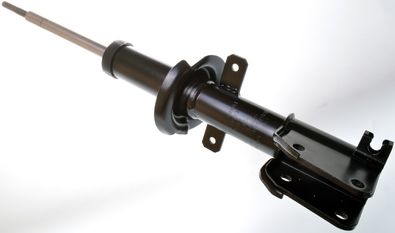 DSB084G DENCKERMANN Амортизатор