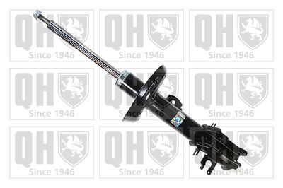 QAG181324 QUINTON HAZELL Амортизатор