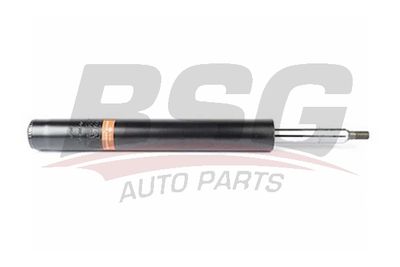 BSG70300001 BSG Амортизатор