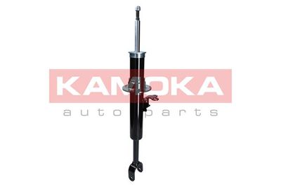 2000650 KAMOKA Амортизатор