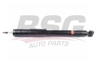 BSG60300054 BSG Амортизатор