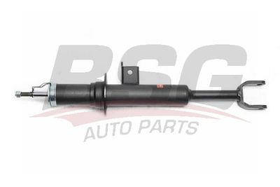 BSG15300036 BSG Амортизатор