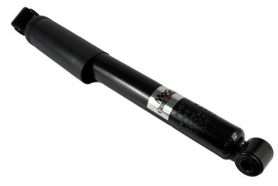 AG1079MT Magnum Technology Амортизатор