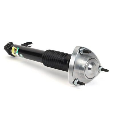 SK3606 Arnott Амортизатор