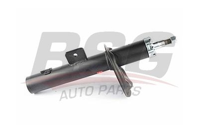 BSG70300003 BSG Амортизатор