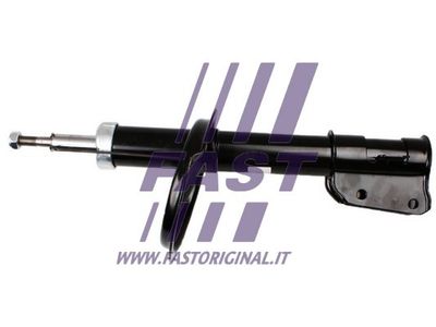 FT11008 FAST Амортизатор