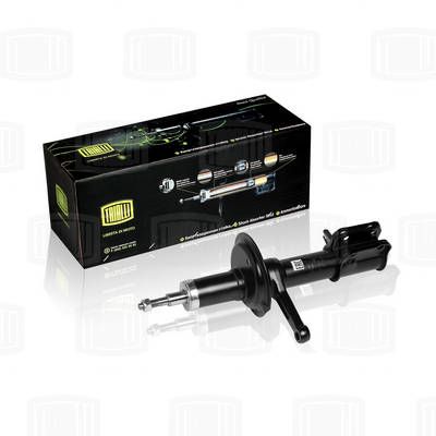 AH01352 TRIALLI Амортизатор