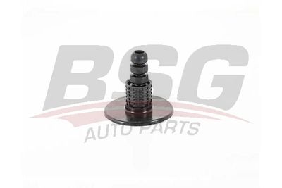 BSG60700192 BSG Амортизатор