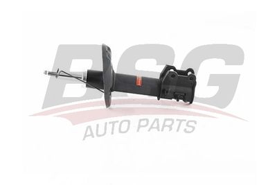 BSG25300001 BSG Амортизатор