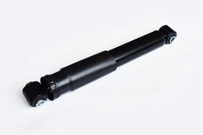 55255 ASAM Амортизатор
