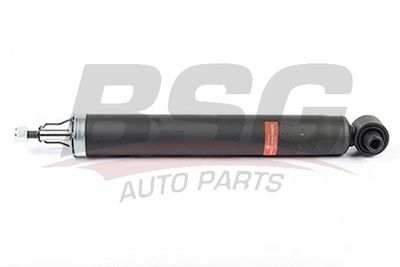 BSG15300032 BSG Амортизатор