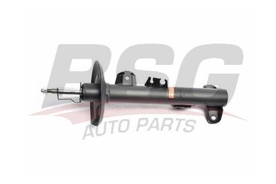 BSG15300034 BSG Амортизатор