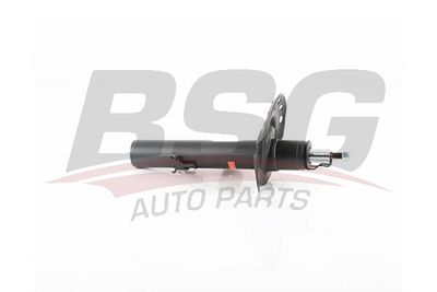 BSG15300053 BSG Амортизатор
