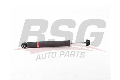 BSG25300004 BSG Амортизатор
