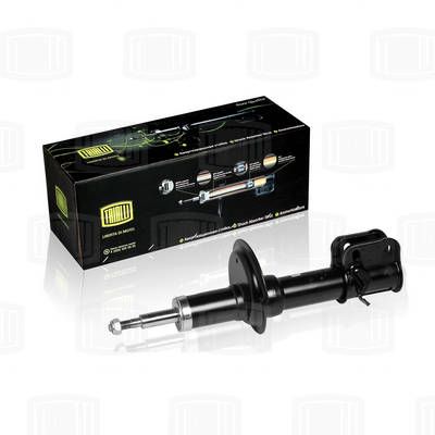 AH01153 TRIALLI Амортизатор