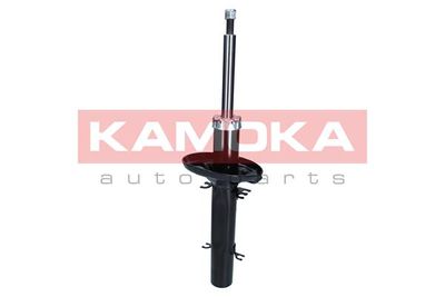 2001066 KAMOKA Амортизатор