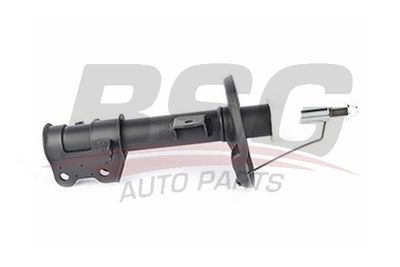 BSG70300017 BSG Амортизатор