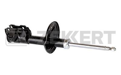 SG4807 ZEKKERT Амортизатор