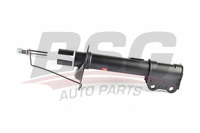 BSG16300008 BSG Амортизатор