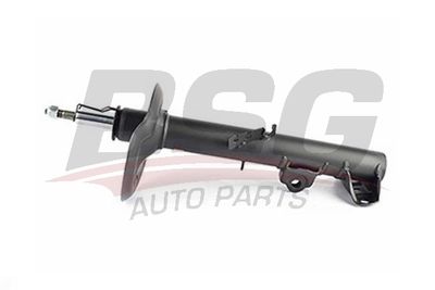 BSG15300007 BSG Амортизатор