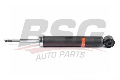 BSG60300046 BSG Амортизатор