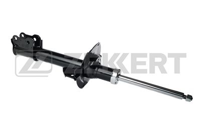 SG4884 ZEKKERT Амортизатор