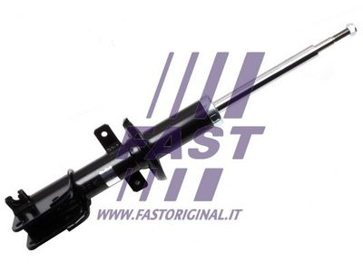 FT11713 FAST Амортизатор
