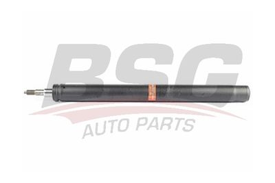 BSG15300001 BSG Амортизатор