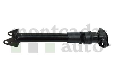 0296205 Montcada Амортизатор