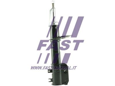 FT11095 FAST Амортизатор