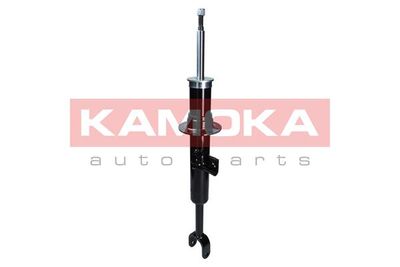 2000656 KAMOKA Амортизатор