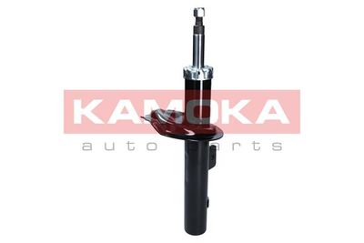 2001060 KAMOKA Амортизатор
