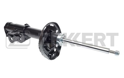 SG5088 ZEKKERT Амортизатор