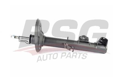 BSG15300021 BSG Амортизатор