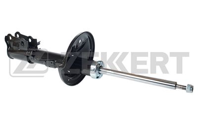 SG5069 ZEKKERT Амортизатор