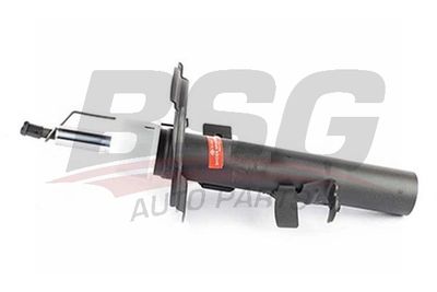 BSG30300063 BSG Амортизатор
