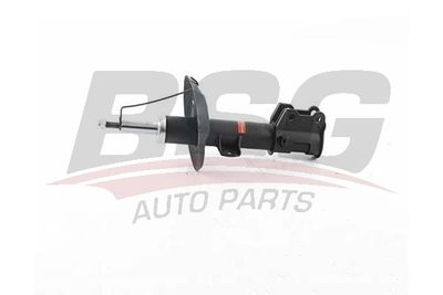 BSG25300002 BSG Амортизатор