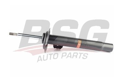 BSG15300010 BSG Амортизатор