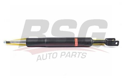 BSG90300037 BSG Амортизатор