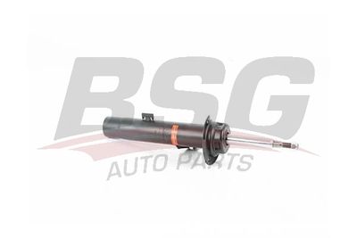 BSG15300043 BSG Амортизатор