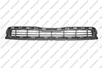 PG9102121 PRASCO Решетка вентилятора, буфер Праско PG9102121