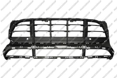 PR7502120 PRASCO Решетка вентилятора, буфер Праско PR7502120