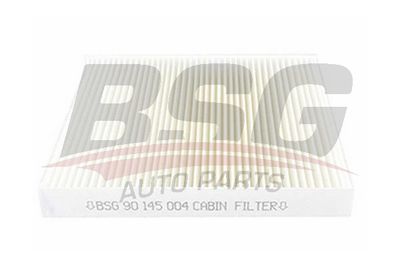 BSG90145004 BSG Фильтр, воздух во внутренном пространстве